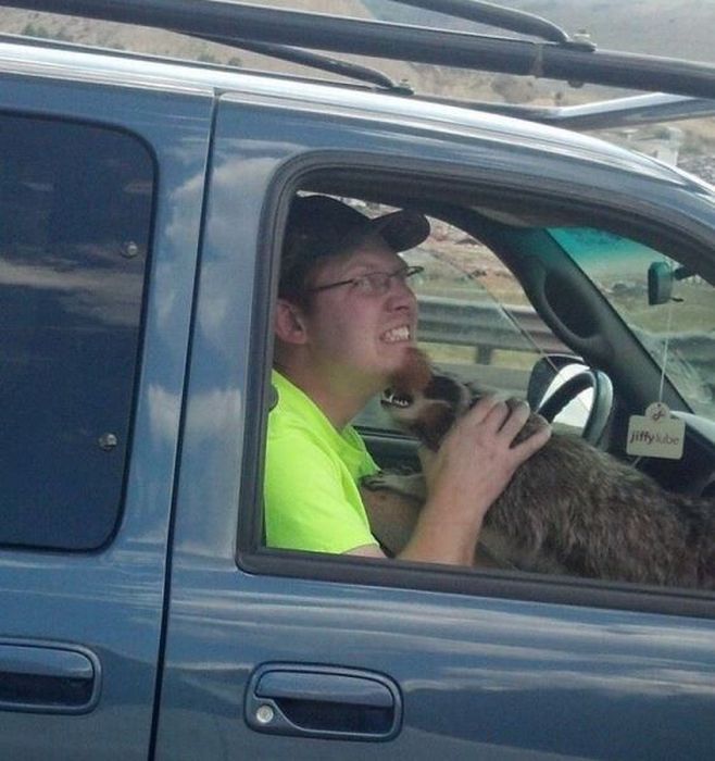 Прикольные картинки