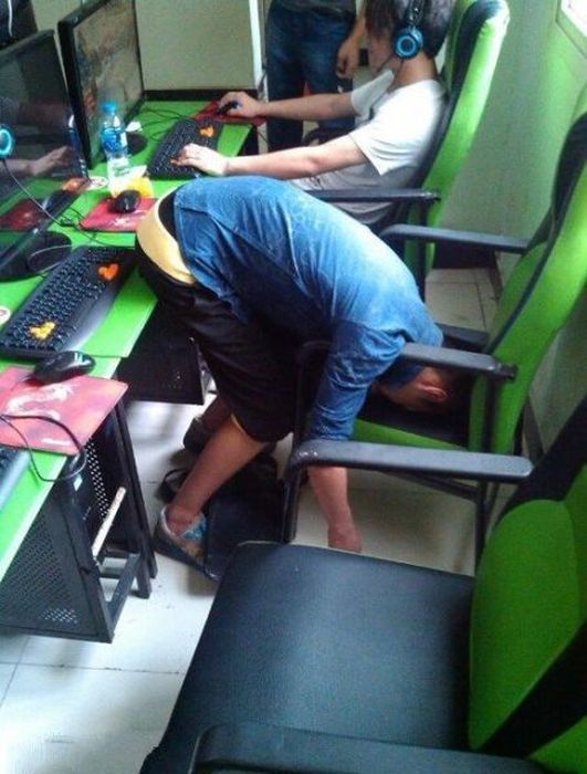 Прикольные картинки