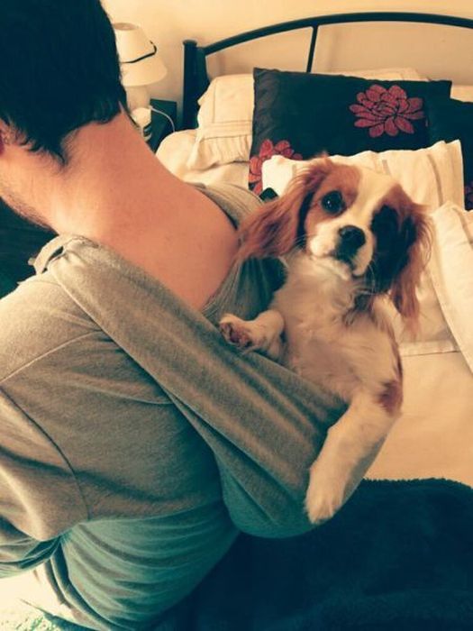 Прикольные картинки