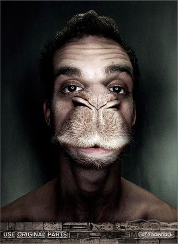 Автореклама без авто