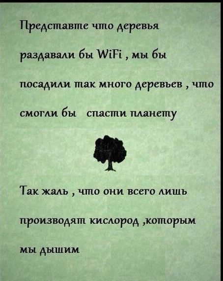 Народные маразмы