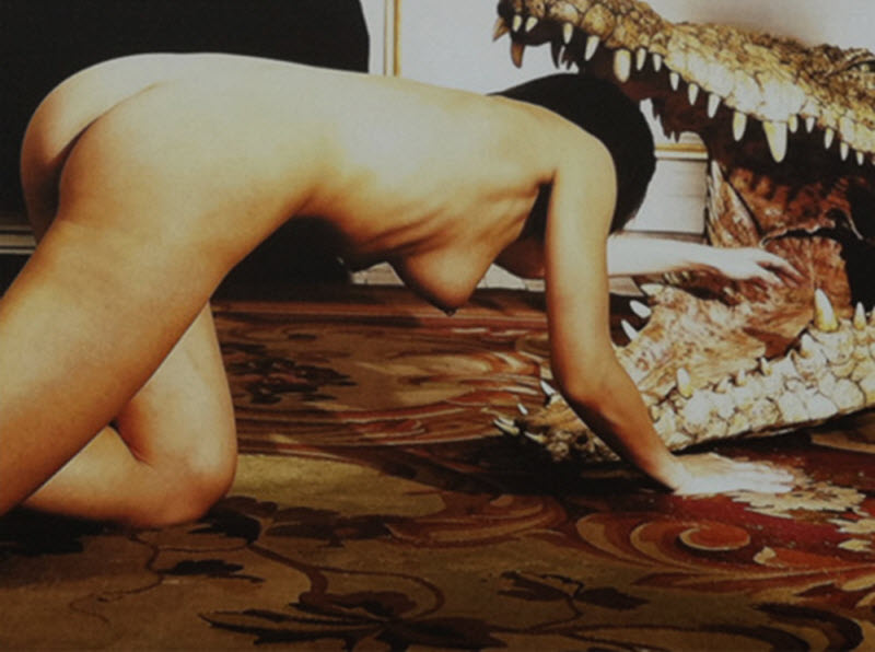 Порнографический шик