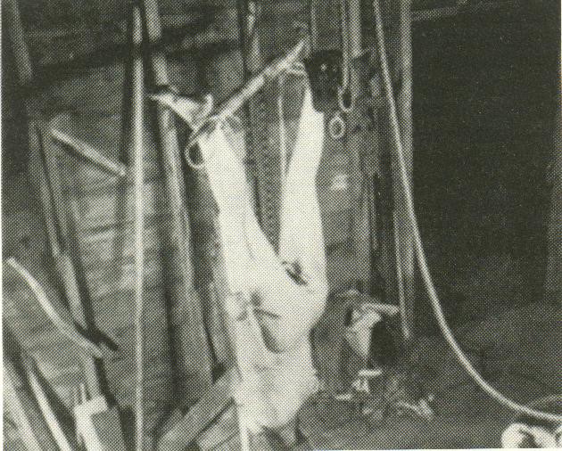 "Молчание ягнят": тайна легендарного фильма ужасов "Молчание ягнят": тайна легендарного фильма ужасов