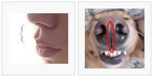 Спорим, вы не знали