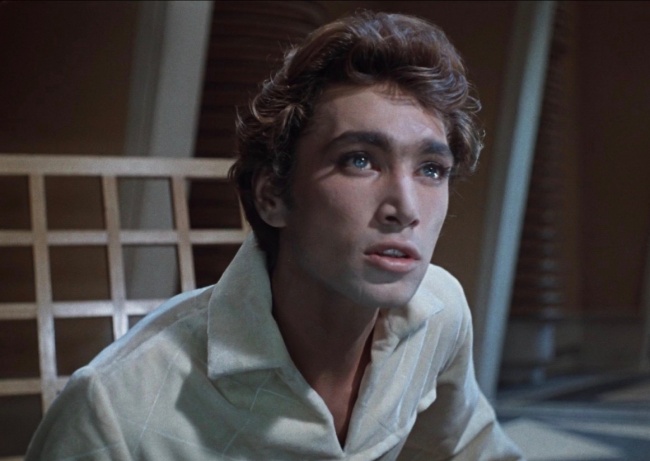 20 самых красивых актеров советского кино