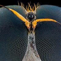 Личные фото озорных девчонок