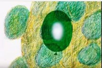 Как «Рой» будет «защищать» американские самолеты