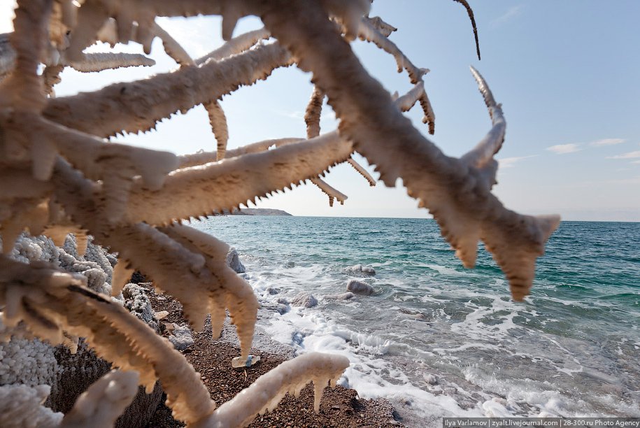 Мертвое море