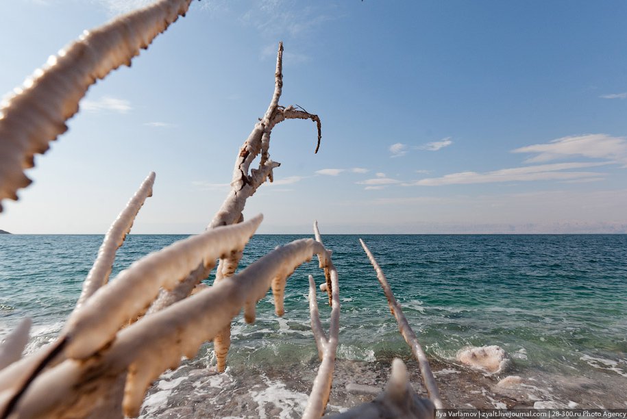 Мертвое море