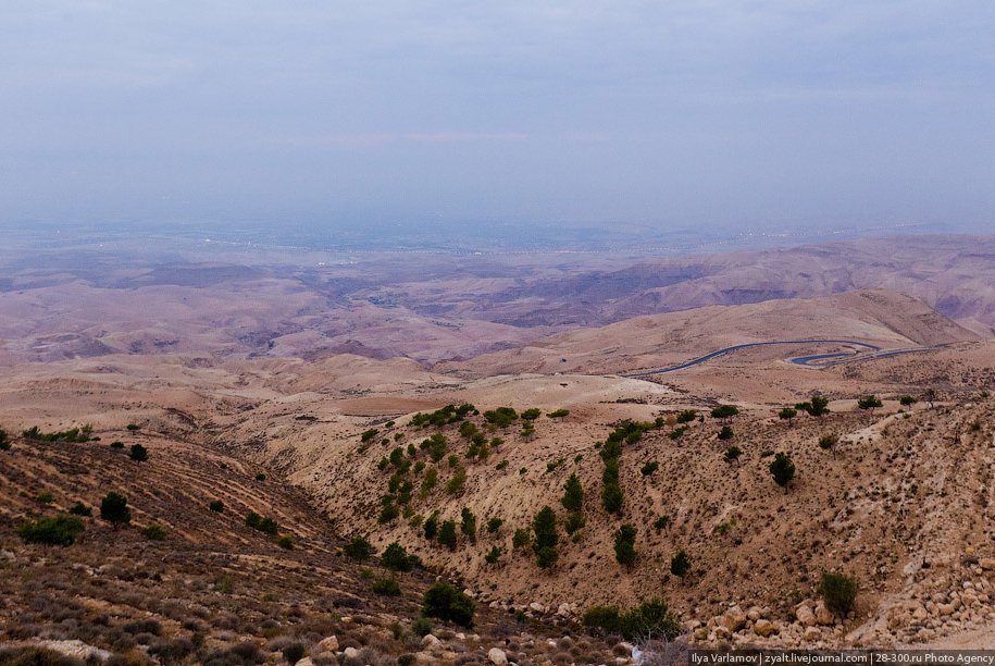 Мертвое море