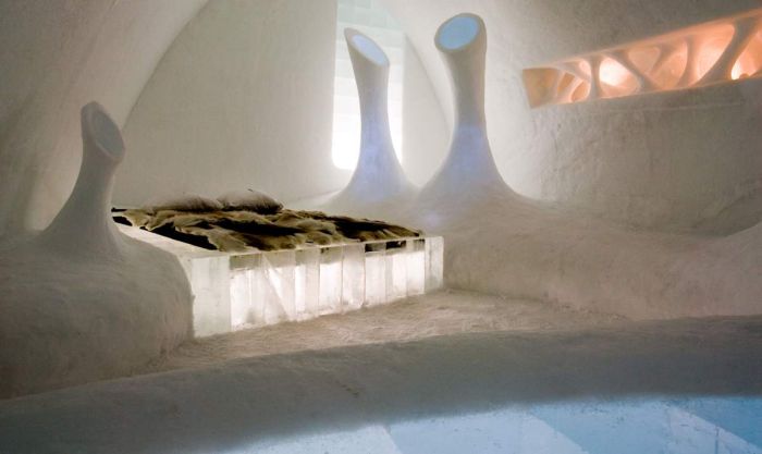 Факты об организме человека