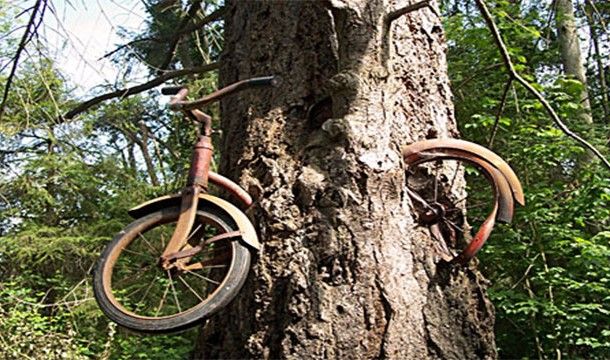 Как нас обманывают в интернете Как нас обманывают в интернете