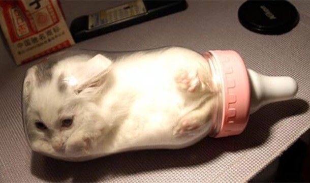 Как нас обманывают в интернете Как нас обманывают в интернете