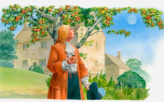 Ложные факты, о которых мы узнали в школе