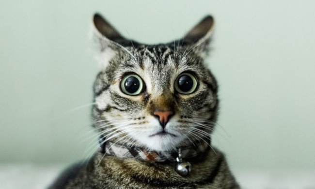 Вот почему мы вздрагиваем, когда засыпаем