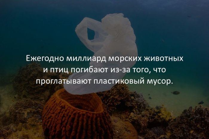 Интересные факты обо всем на свете