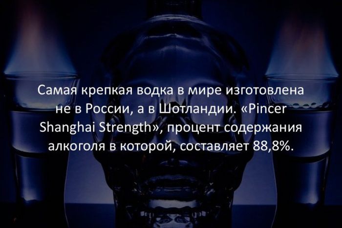 Интересные факты обо всем на свете