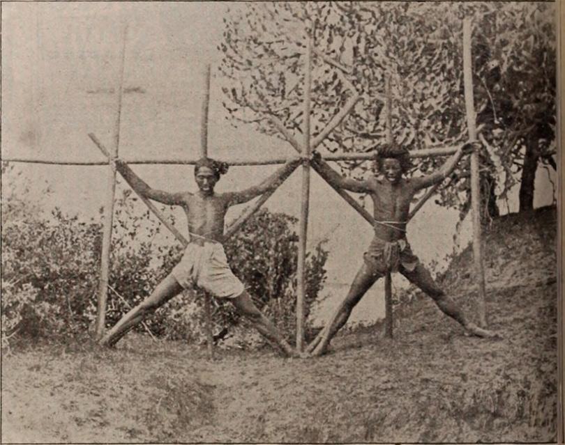 Страны, где всё ещё существует каннибализм Страны, где всё ещё существует каннибализм