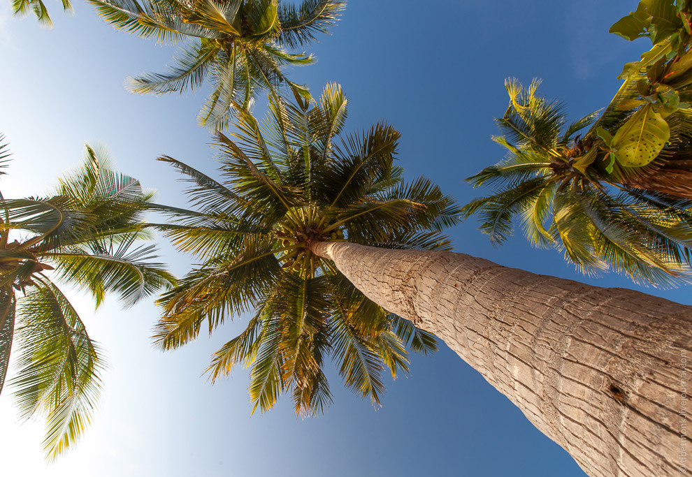 Ко Тао — обетованный остров в Сиамском заливе