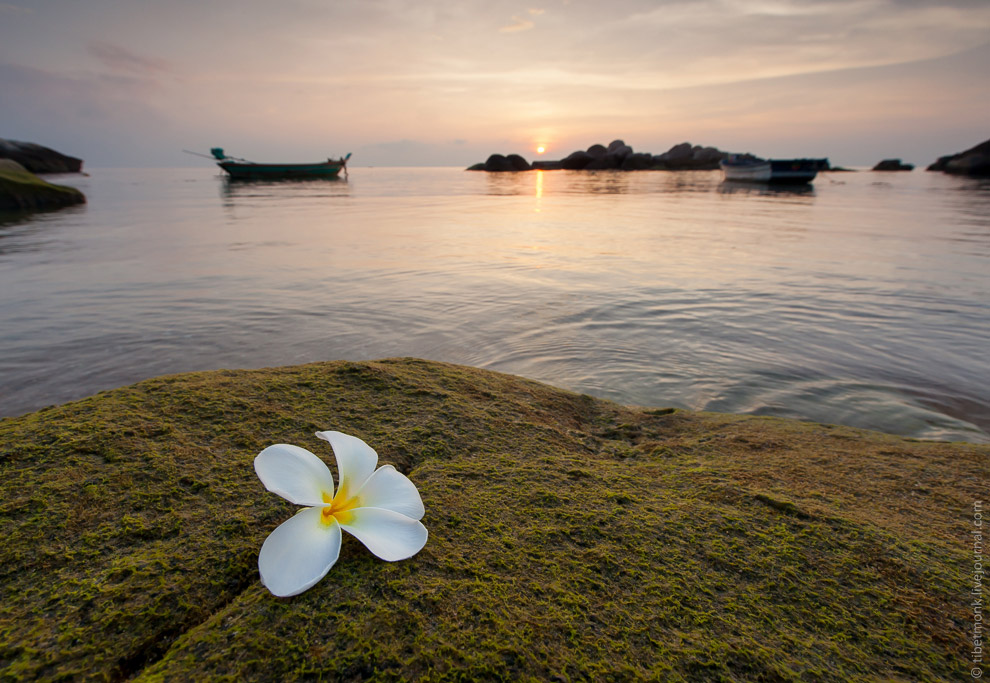 Ко Тао — обетованный остров в Сиамском заливе