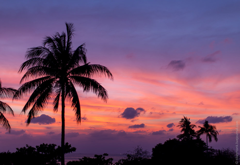 Ко Тао — обетованный остров в Сиамском заливе