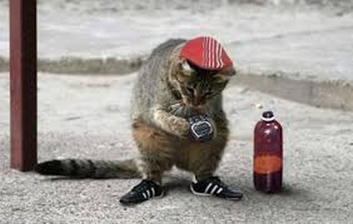 Как стать реальным гопником (11 фото) Как стать реальным гопником (11 фото)