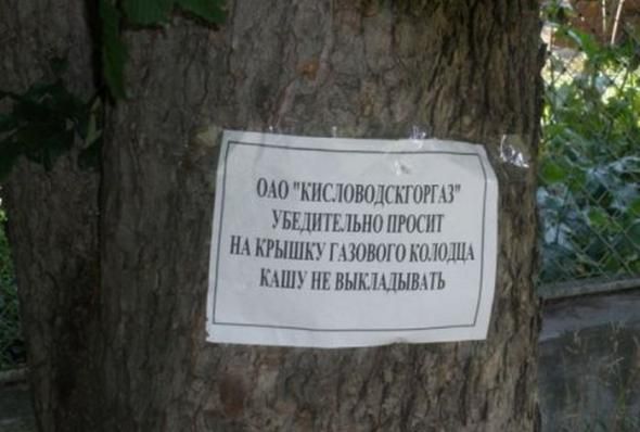 Народные маразмы (48 фото)