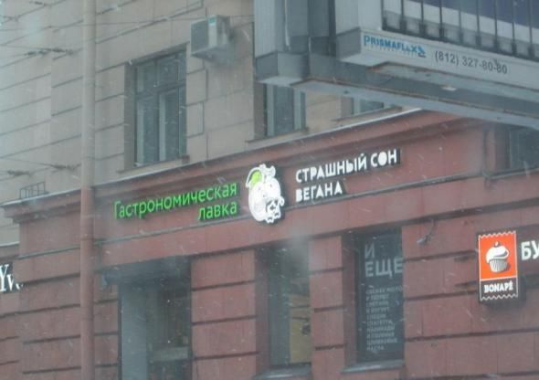 Народные маразмы (48 фото)