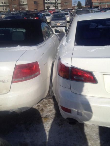 Прикольные картинки (73 фото)