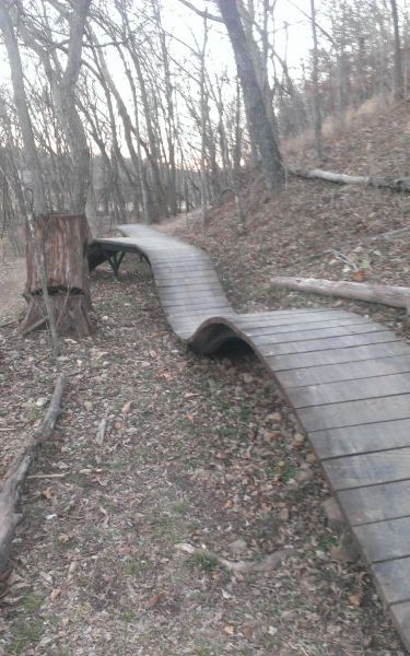 Прикольные картинки (73 фото)