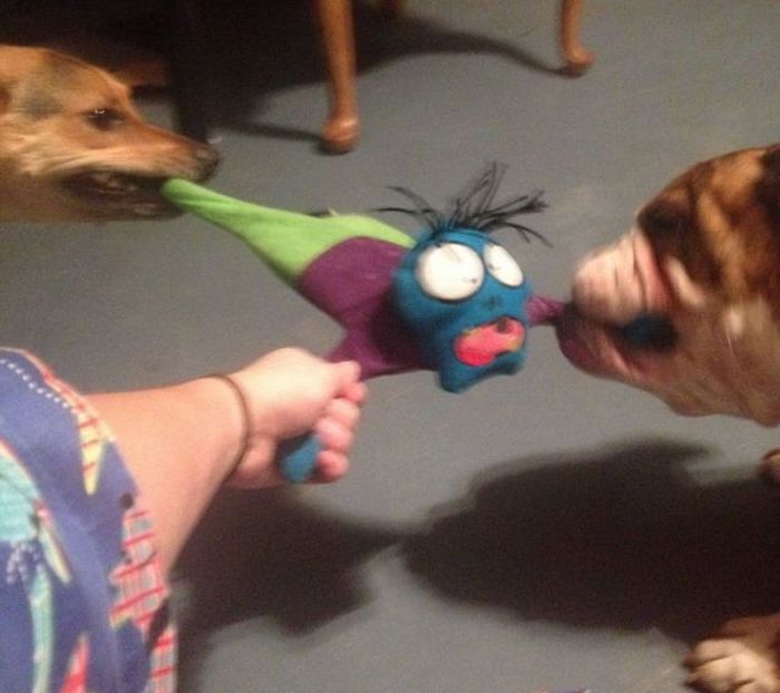 Прикольные картинки (73 фото)