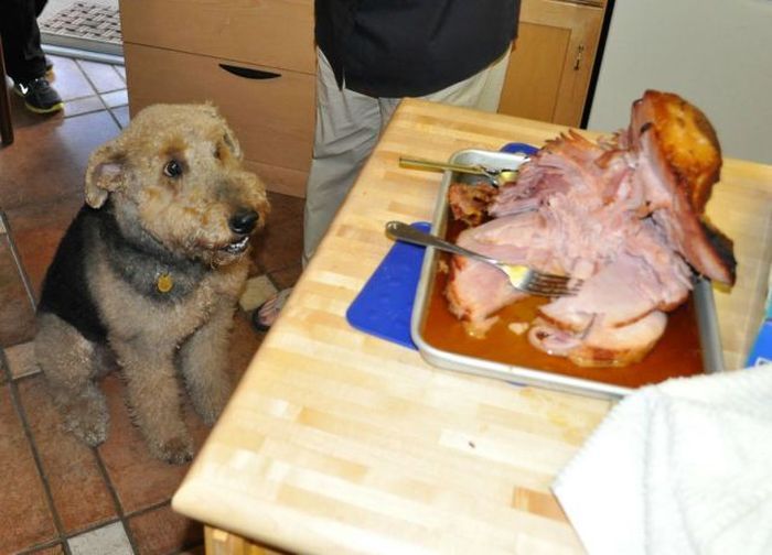 Прикольные картинки (73 фото)