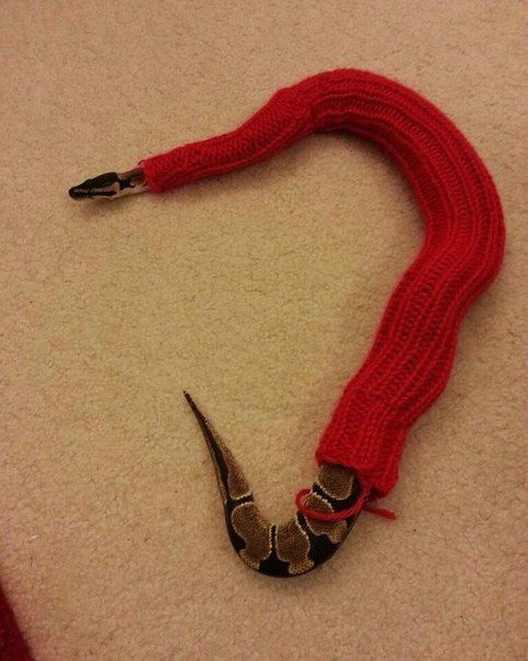 Прикольные картинки (73 фото)