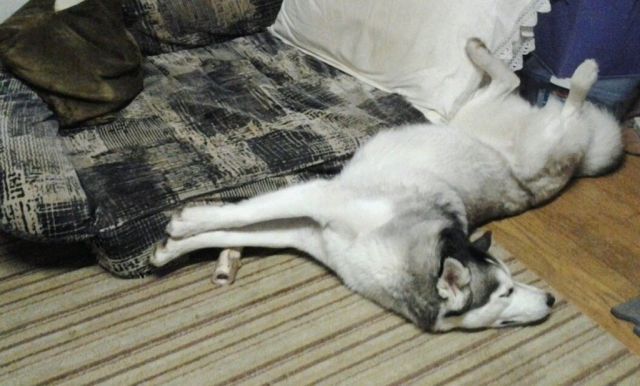 Прикольные картинки (73 фото)