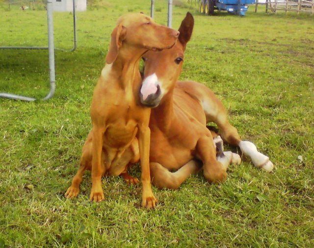 Прикольные картинки (73 фото)