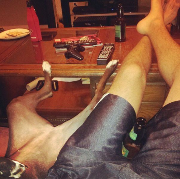 Прикольные картинки (73 фото)