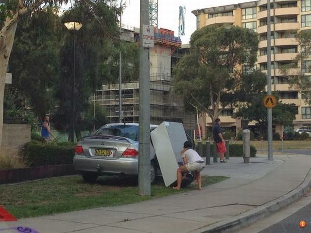 Прикольные картинки (73 фото)