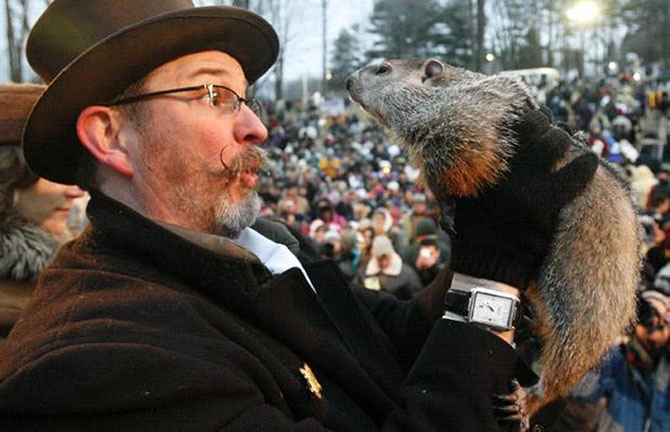 129 лет назад в США впервые отпраздновали День сурка