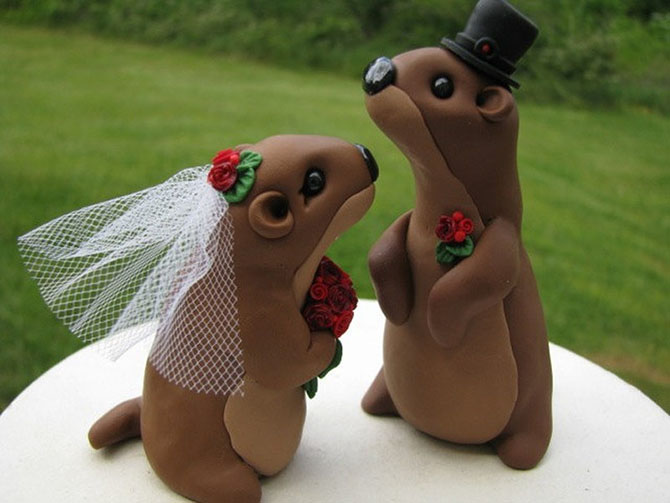 129 лет назад в США впервые отпраздновали День сурка