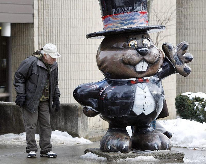 129 лет назад в США впервые отпраздновали День сурка