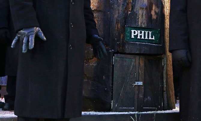 129 лет назад в США впервые отпраздновали День сурка