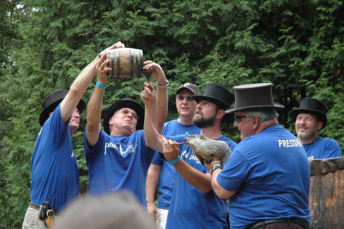 129 лет назад в США впервые отпраздновали День сурка