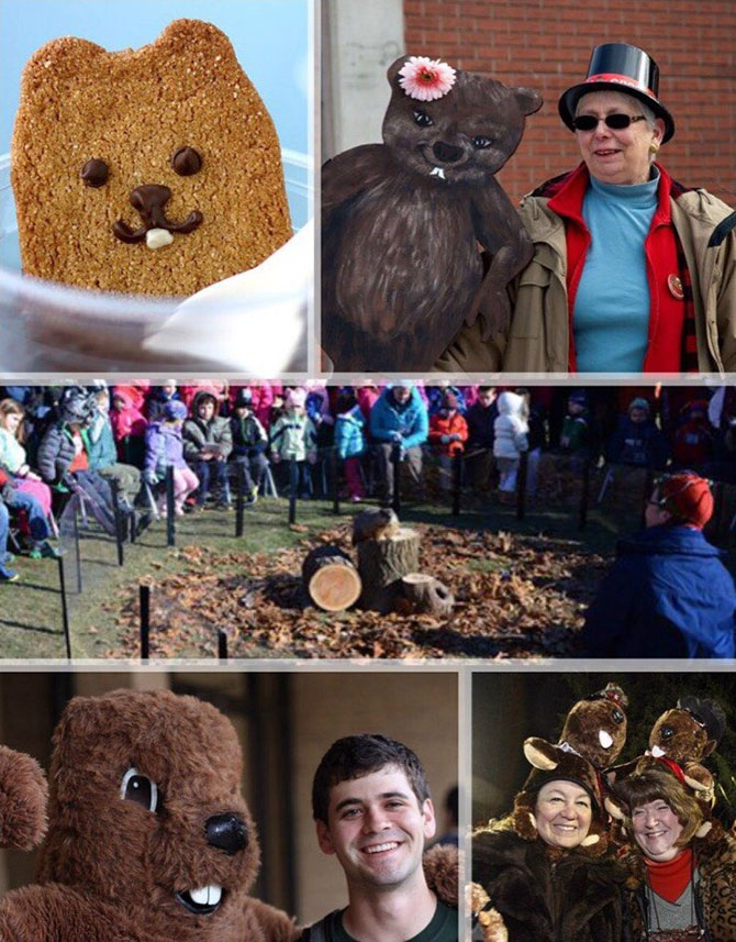 129 лет назад в США впервые отпраздновали День сурка