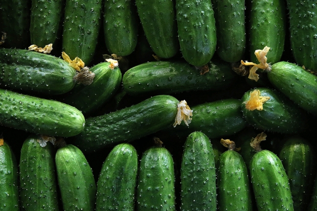 Продуктовая трясина: какие продукты за год подорожали сильнее всего