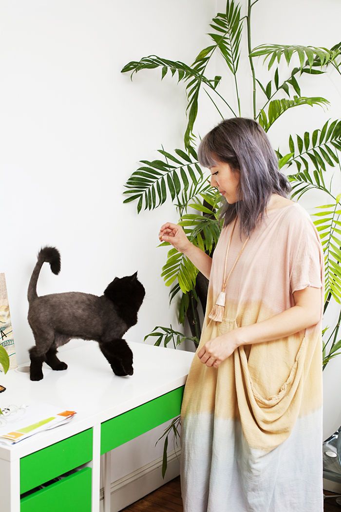 Красивые девушки со своими котами, которых они приютили