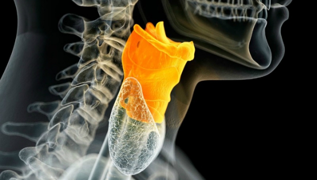 10 важных медицинских прорывов и открытий 2015 года
