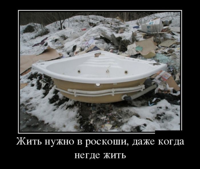 Демотиваторы