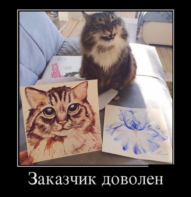 Демотиваторы