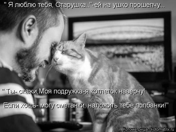 Лучшие котоматрицы недели