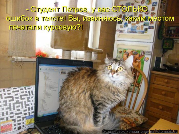 Лучшие котоматрицы недели